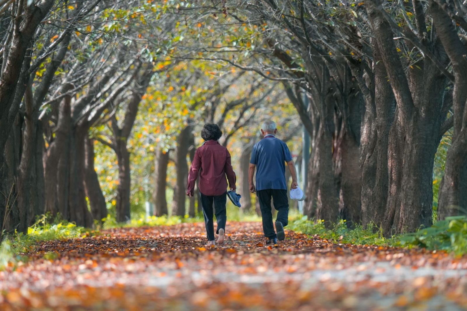 An older couple walking together under autumn trees, living an active life while managing neuropathy